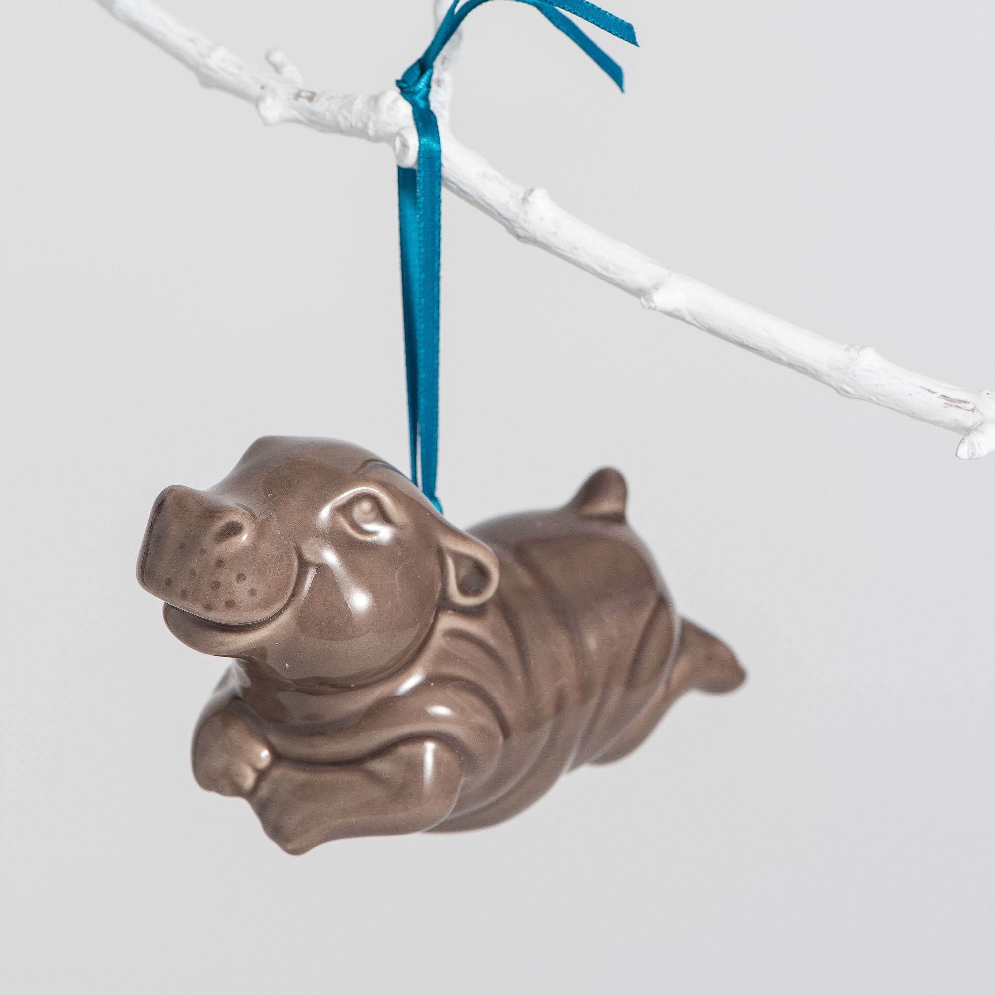 fiona the hippo merch