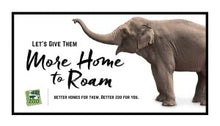 Load image into Gallery viewer, Elephant Bookend Set- Cincinnati Zoo More Home to Roam- Mai Thai
